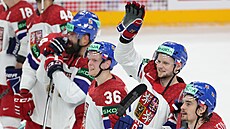 etí hokejisté ekají na vyhláení nejlepího hráe zápasu po duelu s Finskem...