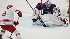 Branká� Trey Augustine v utkání proti Polsku.