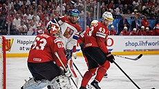 Luká� Sedlák p�ed �výcarským branká�em Leonardem Genonim.