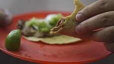 Ocenná tacos (15. kvtna 2024)