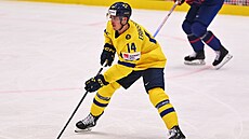 Joel Eriksson Ek ze �védska.