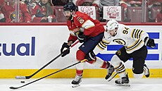 Jakub Lauko (vpravo) z Bostonu brání  Aarona Ekblada z Floridy.