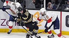 Pavel Zacha (uprosted) z Bostonu elí Alexandru Barkovovi a Aaronu Ekbladovi z...