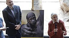 Slavná bioloka Goodallová poktila v praské zoo msíc staré mlád gorily....