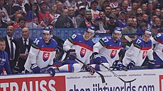Slovenská stídaka bhem utkání s Francií.