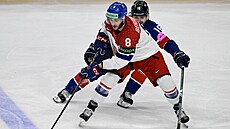 Ond�ej Beránek (8) si hlídá puk v utkání �eska s Velkou Británií.