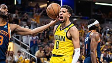 Tyrese Haliburton (0) z Indiana Pacers se raduje z trefy proti New York Knicks....
