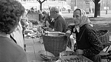 Trh pod katany v roce 1964. Venkovanka nabízí oechy a houby. Foto: Pavel Kosek
