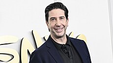 David Schwimmer (14. kvtna 2024)