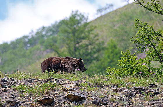 ilustra�ní snímek