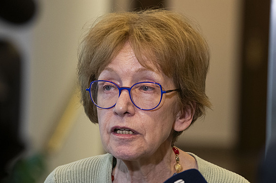 Poslankyn� hnutí ANO a bývalá ministryn� spravedlnosti Helena Válková. 