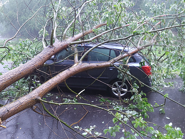 Silné bouřky udeřily hlavně na východě, řidiče v autě uvěznil strom