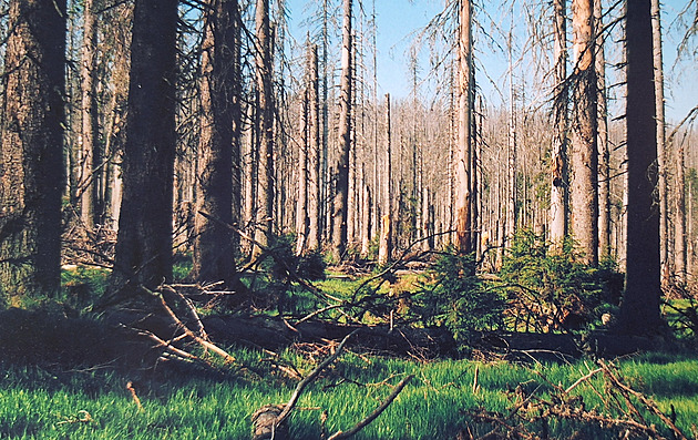 Oblast Modravských slatí v roce 2000