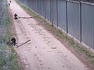 Na n�kolika místech polsko-b�loruské hranice do�lo k útoku migrant� na polské...