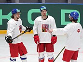 David Pastrák (vlevo), Roman ervenka a Pavel Zacha se radí na tréninku eské...