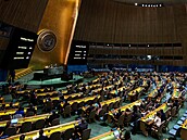 Valné shromádní OSN schválilo návrh, aby si svt kadý rok 11. ervence...