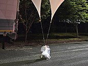Jiní Korea obvinila KLDR, e nad její území vyslala balóny s odpadky a výkaly....