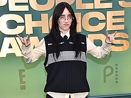 By její kvality jako zpvaky jsou nepopiratelné, cokoli si oblee Billie...