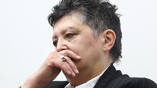 Damila Stehlkov na soudu, kter rozhoduje o alob bvalho prezidenta Miloe Zemana na lkaku kvli jejm vrokm o Zemanov zdrav. (28. kvtna 2024)