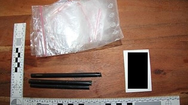 Policist pi domovnch prohldka objevili blou krystalickou ltku, expertizy prokzaly, e se jedn o kokain.