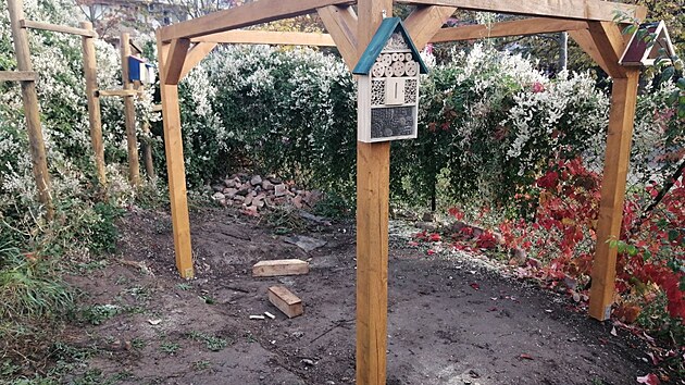 Na snmku erstv postaven pergola, kter byla v roce 2022 tm prvnm, co se na komunitn zahrad vybudovalo. 