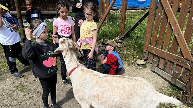 Karlovarsk farma a ekocentrum Kozodoj je astm clem exkurz ze kol a mateinek. Dti si mohou nkter zvata i pohladit, a dozvd se o nich zajmav informace. (14. kvtna 2024)