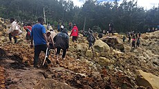 Pes 670 lidí zahynulo pi rozsáhlém sesuvu pdy v Papui Nové Guineji, odhaduje...