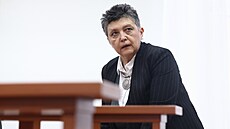 Damila Stehlíková pichází k soudu, který rozhoduje o alob bývalého...