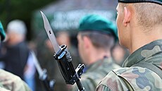 Na strá�i. �lenové polské Teritoriální obrany podstupují nep�etr�itý...