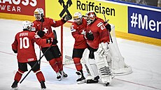 �výcar�tí hokejisté slaví postup do finále mistrovství sv�ta.