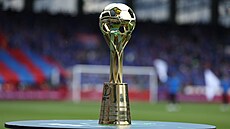 Trofej �eského fotbalového poháru.