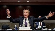Robert Lighthizer (17. �ervna 2020)