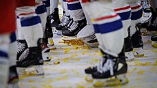 Radost �eských hokejist� ve finále mistrovství sv�ta nev�edním pohledem