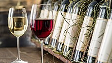Zavedení dan� na tiché víno by ochránilo tuzemské vina�e p�ed záplavou levného...