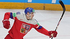 etí hokejisté bojují o postup do finále mistrovství svta proti védsku....