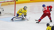 �e�tí hokejisté bojují o postup do finále mistrovství sv�ta proti �védsku....