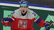 �e�tí hokejisté bojují o postup do finále mistrovství sv�ta proti �védsku....