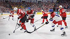 Finále MS v hokeji výcarsko - esko. Na snímku David Pastrák. (26. kvtna...