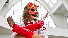 Náv�t�vníci Animefestu na brn�nském výstavi�ti mohli obdivovat roztodivné...