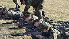 Aktivní zálohy (AZ) vznikly oficiáln� v roce 2004. V roce 2030 by m�ly mít 10...