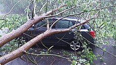 idi v Pardubickém kraji zstal po pádu stromu uvznný v aut. (28. kvtna...