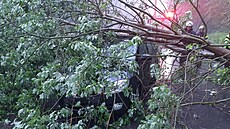 �idi� v Pardubickém kraji z�stal po pádu stromu uv�zn�ný v aut�. (28. kv�tna...