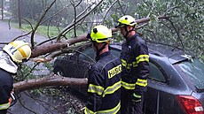 �idi� v Pardubickém kraji z�stal po pádu stromu uv�zn�ný v aut�. (28. kv�tna...