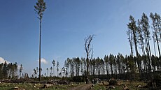 ilustra�ní snímek