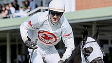 Vítzní Godfrey s Vyhnálkem se loni pimotali k pádu na Taxisu a nedokonili...