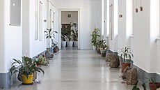 Chodba ve �tvrtém pat�e spojuje ob� pietní místnosti na Filozofické fakult� UK....