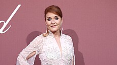 Vévodkyn� z Yorku Sarah Fergusonová na amfAR Cinema Against AIDS v Cap...