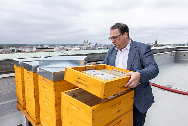 Boj o Ostravu začíná. Dohnal proti Verešovi, zvažující Macura a premiéra Motoristů