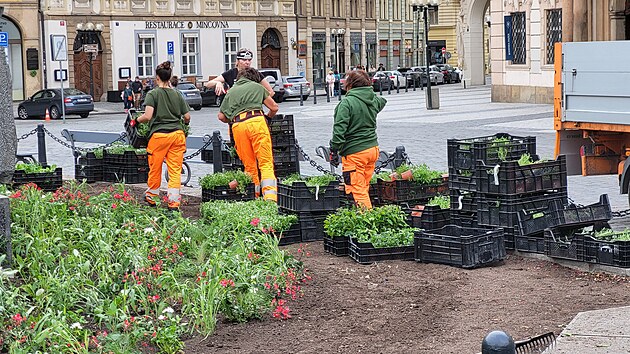 Zahradníci pracují dnes na Staromstském námstí 