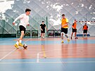 Mezinárodní GSPORT ligy univerzit na praské Fakult tlesné výchovy a sportu...